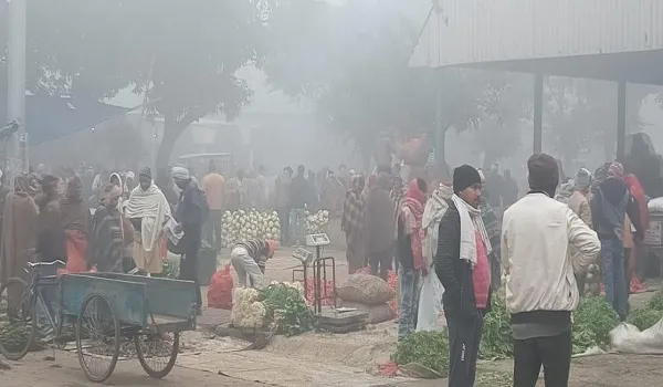 अमरोहा : प्रशासन की लाख पाबंदी के बाद भी मंडी समिति में पहुंच रही भारी भीड़