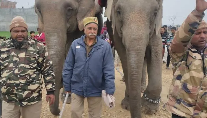 बहराइच: मासूमों को शिकार बनाने वाले तेंदुए को किया जायेगा ट्रेंकुलाइज