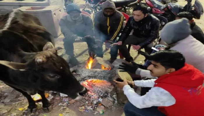 अयोध्या: बर्फीली हवाओं का कहर जारी, जनजीवन बेहाल, न्यूनतम तापमान 4.5 डिग्री सेल्सियस