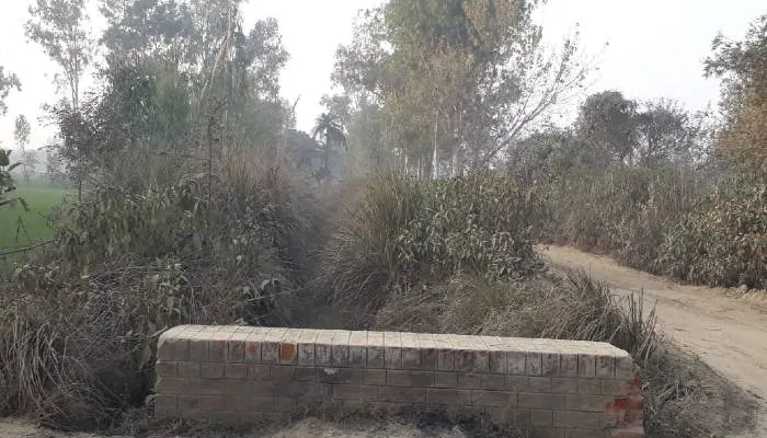 हरदोई: दो वर्षों से माइनर सफाई न होने से किसानों के सामने सिंचाई का संकट