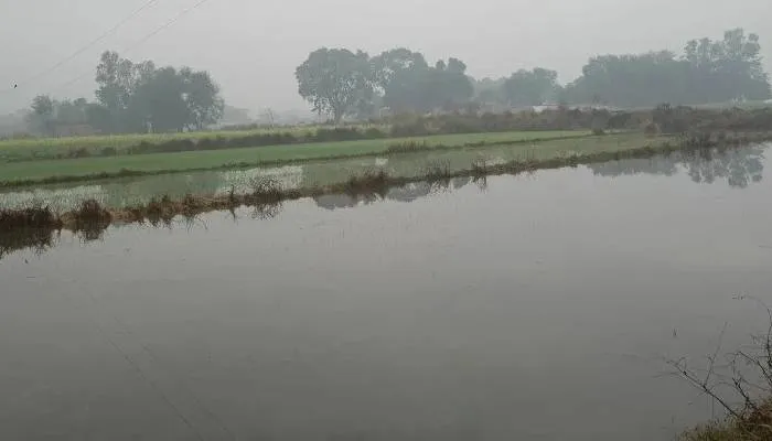 देवरिया में पानी के अज्ञात स्रोत से सैकड़ों एकड़ फसल जलमग्न