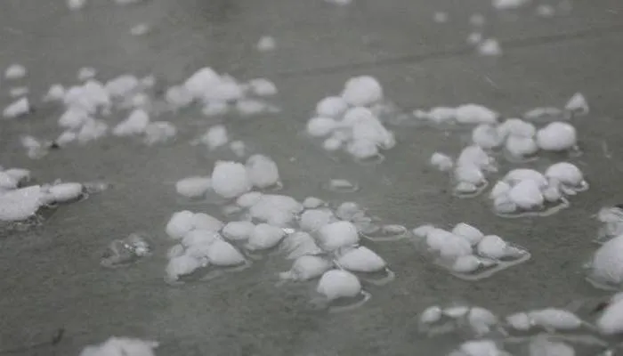 हरदोई में बारिश के साथ पड़े ओले, सरसों की फसल को भारी नुकसान