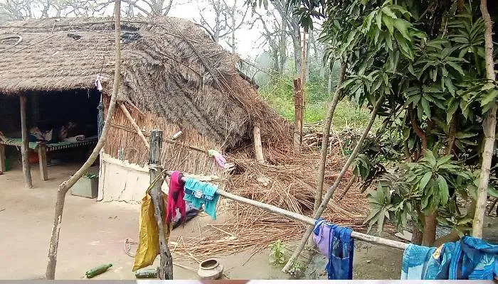 बहराइच: हाथियों के झुंड ने ढहाया ग्रामीणों का आशियाना