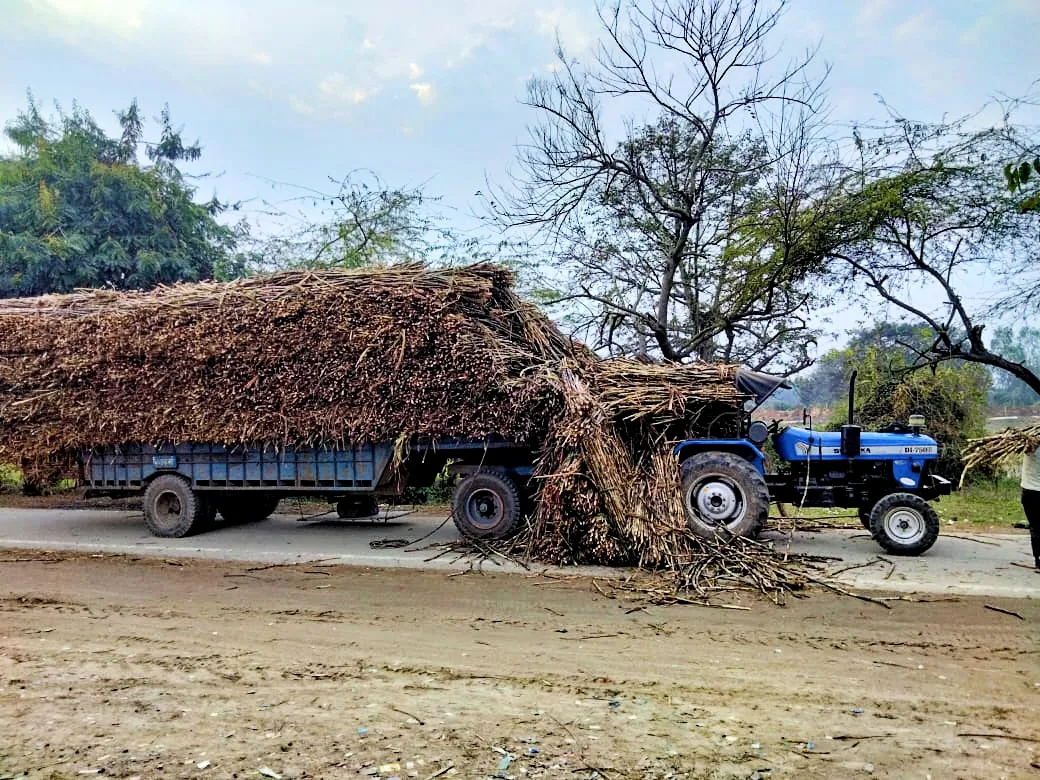 पीलीभीत: ओवर हाइट ट्राॅली से गन्ने की फांदियां गिरी, चालक बचा