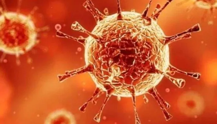 रायबरेली: कोरोना योद्धाओं को बूस्टर डोज देने के लिए स्वास्थ्य विभाग तैयार