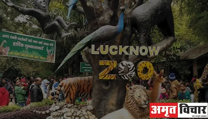 Lucknow Zoo: राजधानी के चिड़ियाघर में जानवरों के लिए ठंड के मद्दे नजर की गई यह खास व्यवस्था