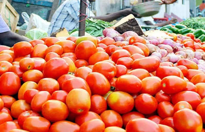 अयोध्या : टमाटर की लाली हुई कम!, मटर के भाव अब भी तेज