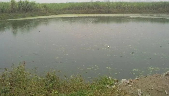 बरेली: तालाब पर भूमाफिया की नजर, निगम ने बनाया साइट ऑफिस