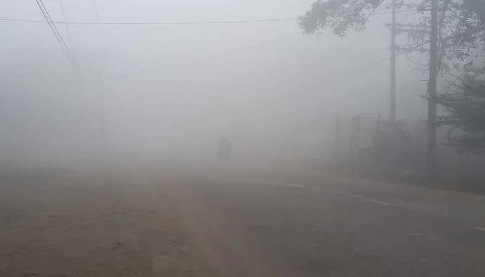 रायबरेली: कोहरा और गलन से बढ़ी सर्दी, पारा  4 डिग्री के पार…