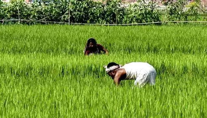 अयोध्या: किसान सम्मान निधि में फर्जीवाड़ा रोकने के लिए अब लगेगा राशन कार्ड
