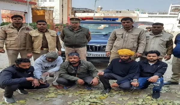 अमरोहा: छह चोरियों का खुलासा, गैंग के पांच सदस्य गिरफ्तार