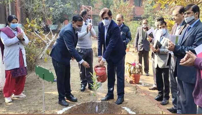 गोरखपुर: रेलवे महाप्रबन्धक ने की रेल राजस्व में विविध आय वृद्धि की समीक्षा, किया पौधरोपण