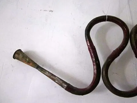 युद्ध में सैनिकों का जोश बढ़ाने और भगवान शिव की आराधना में होता था इस वाद्ययंत्र का इस्तेमाल, आज नई पीढ़ी है इससे अंजान