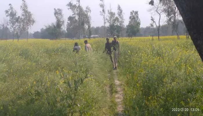 बाराबंकी: खेत में मिला गायब व्यक्ति का शव, परिजनों ने हत्या का लगाया आरोप