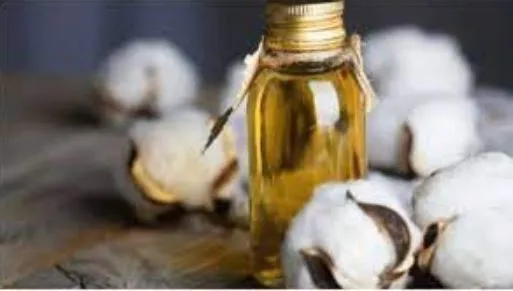 कमजोर मांग से बिनौलातेल खली वायदा कीमतों में गिरावट