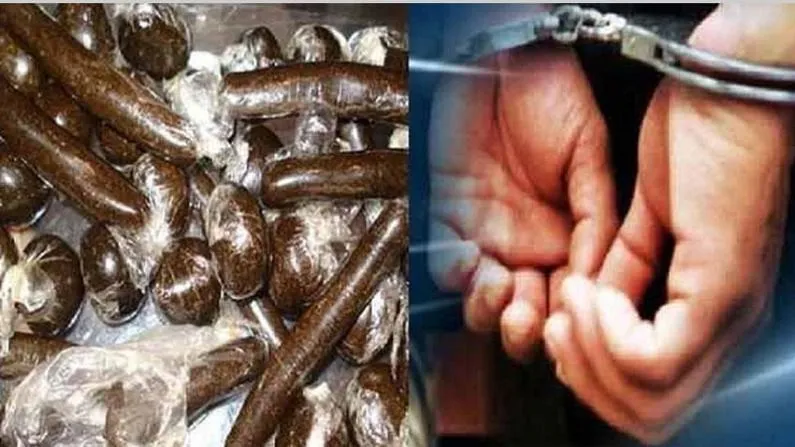 बागेश्वर: एक किलो चरस समेत विदेशी महिला गिरफ्तार