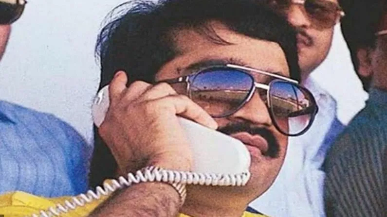 दाऊदा का दस्ता
