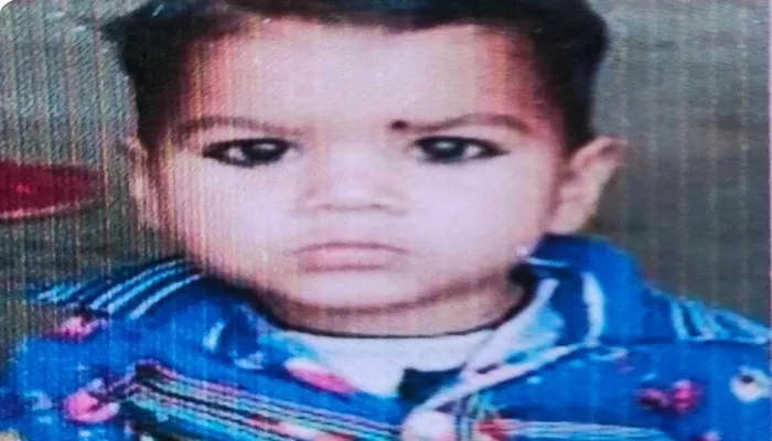 हरदोई: दो साल के मासूम की गड्ढे में गिरकर डूबने से हुई मौत