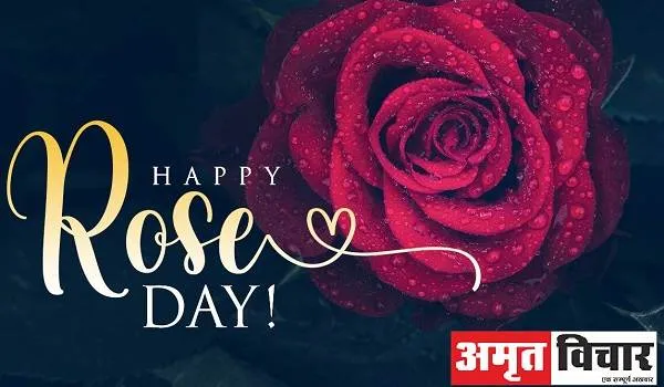 Rose Day 2022: ये गुलाब नहीं आसां…बस इतना समझ लीजिए, हर रंग अनोखा है