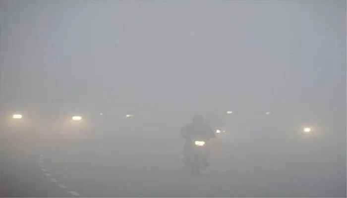 Meteorological Department: प्रदेश में मौसम विभाग ने इन जिलों में घने कोहरे और शीतलहर की दी चेतावनी
