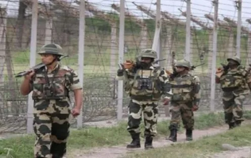 पंजाब: बीएसएफ ने फिरोजपुर सीमा पर पाकिस्तानी घुसपैठिये को किया ढेर