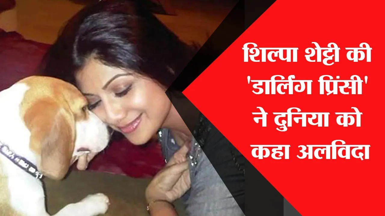 शिल्पा शेट्टी की ‘डार्लिंग प्रिंसी’ ने दुनिया को कहा अलविदा