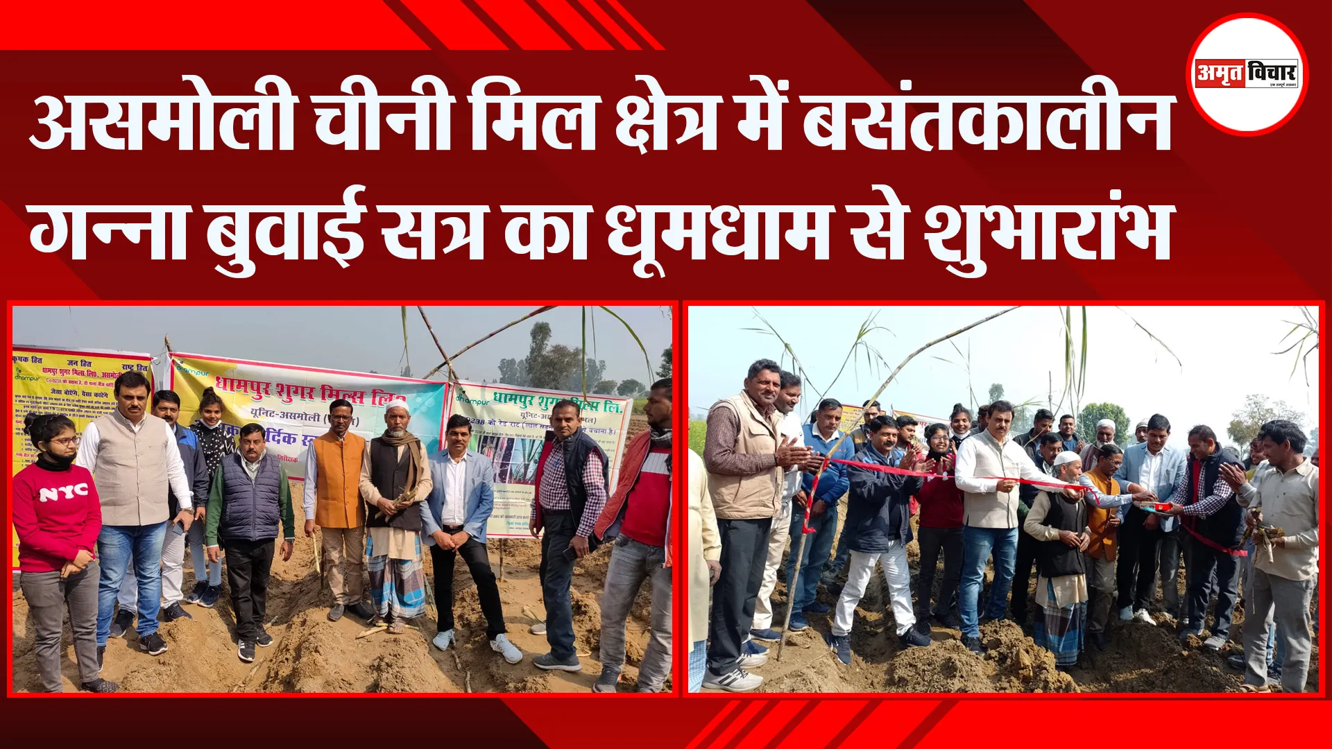 संभल: असमोली चीनी मिल क्षेत्र में बसंतकालीन गन्ना बुवाई सत्र का धूमधाम से शुभारांभ
