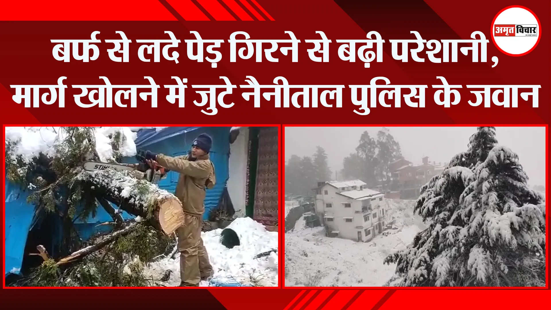 हल्द्वानी: बर्फ से लदे पेड़ गिरने से बढ़ी परेशानी, मार्ग खोलने में जुटे नैनीताल पुलिस के जवान