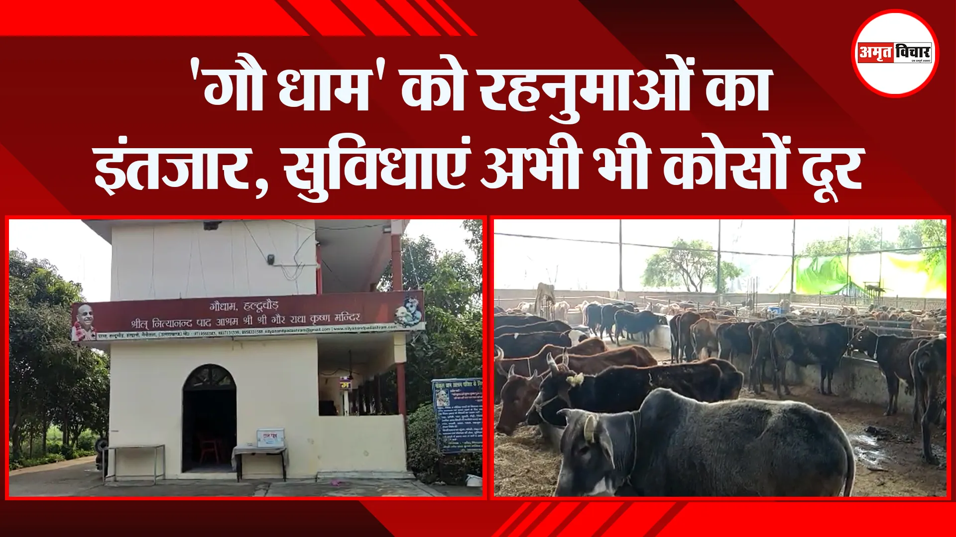 हल्द्वानी: ‘गौ धाम’ को रहनुमाओं का इंतजार, सुविधाएं अभी भी कोसों दूर