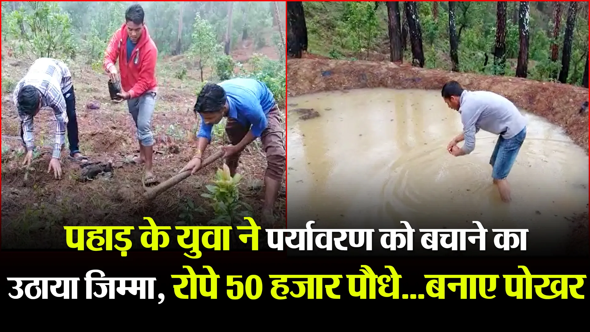 हल्द्वानी: पहाड़ के युवा ने पर्यावरण को बचाने का उठाया जिम्मा, रोपे 50 हजार पौधे…बनाए पोखर