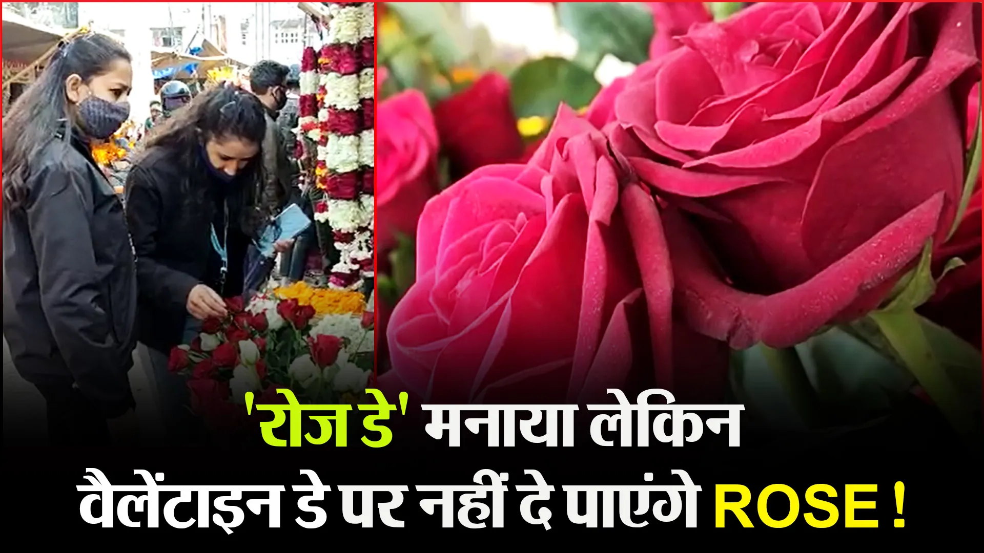 हल्द्वानी:’रोज डे’ मनाया लेकिन वैलेंटाइन डे पर नहीं दे पाएंगे ROSE!