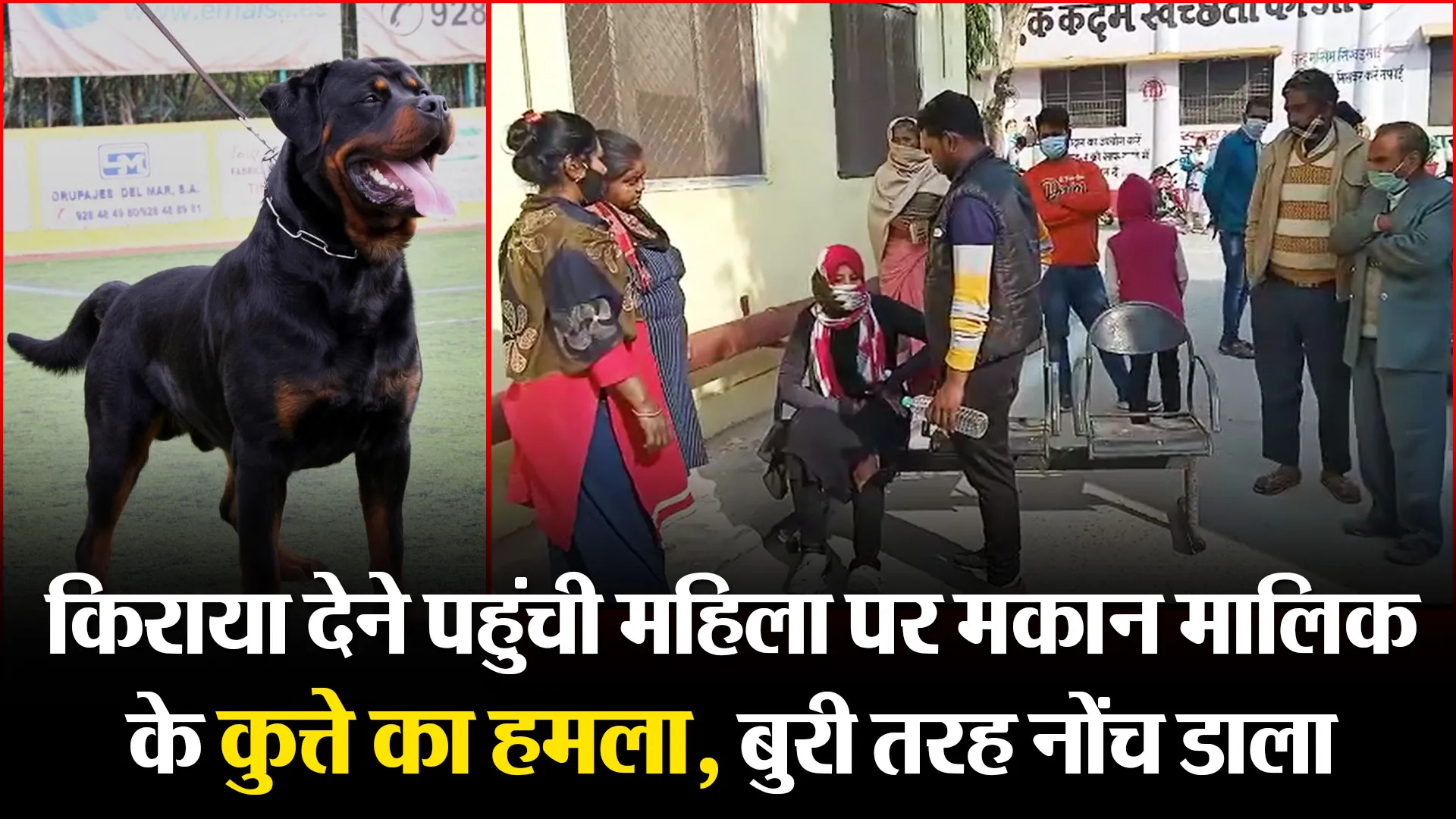 बरेली: किराया देने पहुंची महिला पर मकान मालिक के कुत्ते का हमला, बुरी तरह नोंच डाला