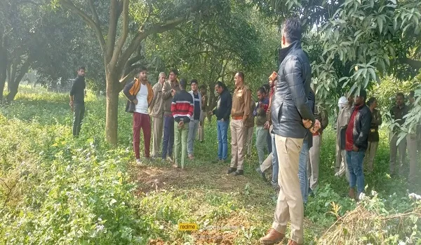 अमरोहा: बाग में गोवंश के वध से रोष, सूचना पर दौड़ी पुलिस