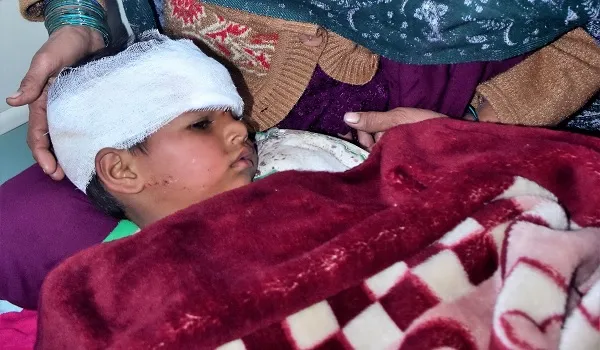 मुरादाबाद : डिलारी क्षेत्र में जंगली जानवर ने मचाया उत्पात, दहशत