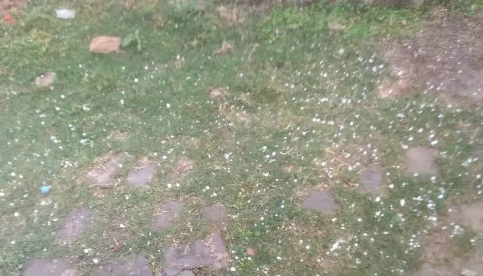 सीतापुर: बारिश के साथ गिरे ओले, कई फसलों को नुकसान तो कुछ को हुआ फायदा