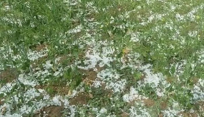 अयोध्या: नियमों के फेर में फंसा किसानों का मुआवजा, सर्वे में नहीं मिली क्षति