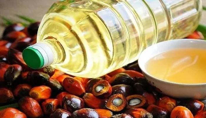 रूस-यूक्रेन की जंग से प्रभावित हुआ बाजार, पाम ऑयल के दामों में हुई बढ़ोत्तरी