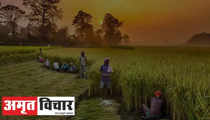 ऐसे दूर होगी सल्फर की कमी और बढ़ेगी फसलों की पैदावार,जानें विशेषज्ञों की राय