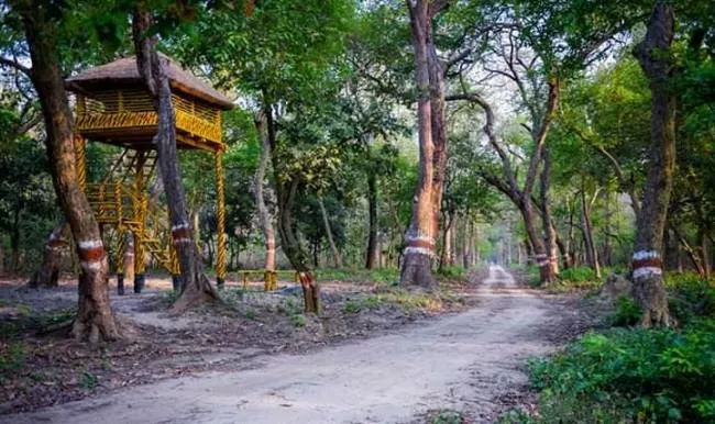 पीलीभीत: सैटेलाइट सिस्टम से होगी जंगल की आग की निगरानी