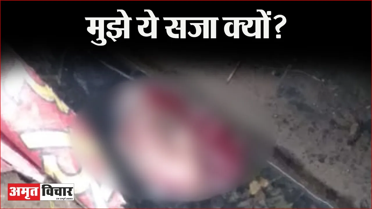 बरेली में मानवता शर्मसार: पांच माह के भ्रूण की हत्या कर नाली में फेंका, मजबूरी या पाप?