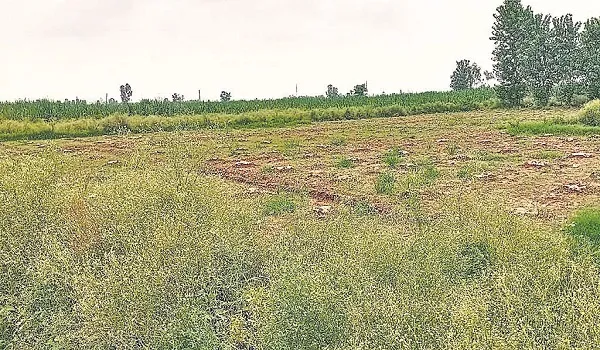 काजीपुरा में नया मुरादाबाद की तर्ज पर जल्द बनेगी कालोनी, 350 एकड़ जमीन चिह्नित