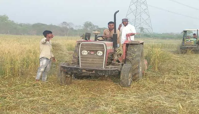 बाराबंकी: खड़ी फसल जोतवाकर अतिक्रमण मुक्त कराई गई सरकारी जमीन