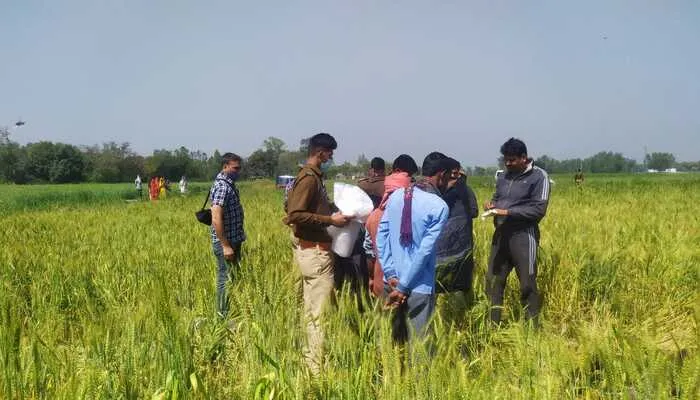 हरदोई: गेहूं के खेत में मिला अधेड़ व्यक्ति का जला हुआ शव, मचा हड़कंप