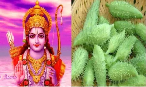 पहाड़ों में उगने वाली इस सब्जी में छिपा है पौष्टिकता का खजाना, भगवान राम से जुड़ी है इसकी कहानी