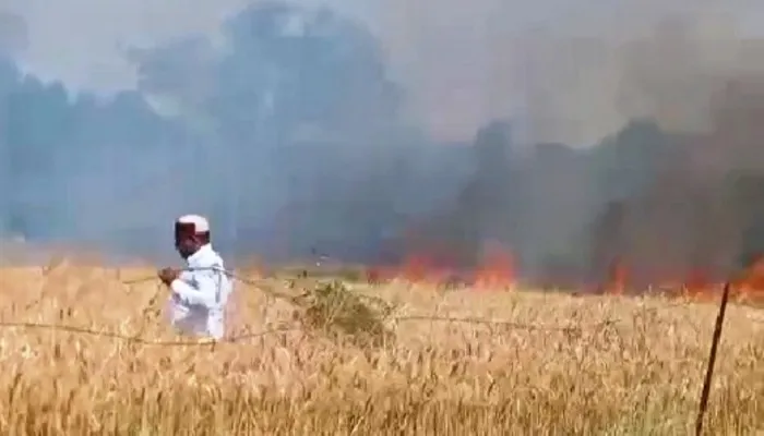 उन्नाव: हाईटेंशन लाइन की चिंगारी से खेत में लगी आग, गेहूं की साढ़े छह बीघा फसल जलकर हुई राख