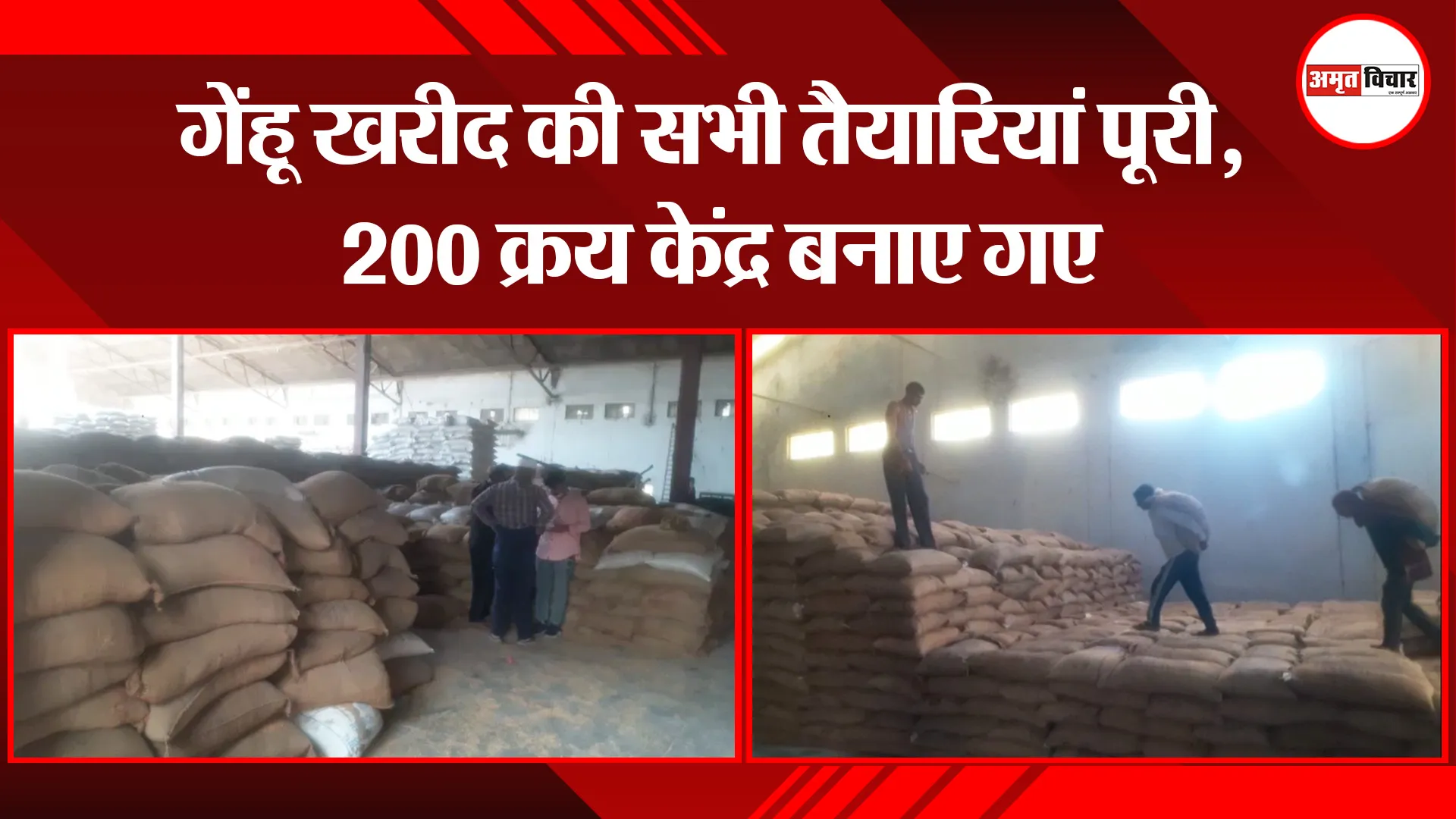 हल्द्वानी: गेंहू खरीद की सभी तैयारियां पूरी, 200 क्रय केंद्र बनाए गए