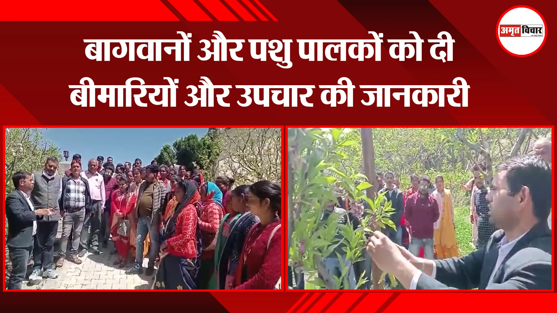 हल्द्वानी: बागवानों और पशु पालकों को दी बीमारियों और उपचार की जानकारी