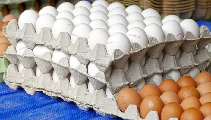 नैनीताल: बाघ और तेंदुओं की खुराक से हटाया अंडा