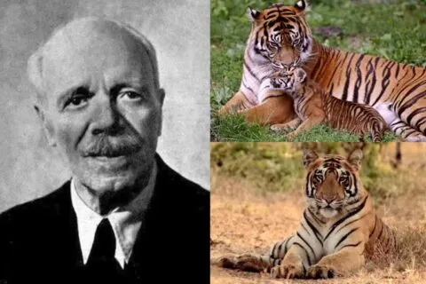 कुमाऊं के बाघों पर बनी पहली हॉलीवुड फिल्म, मशहूर शिकारी जिम कॉर्बेट से है इसका नाता