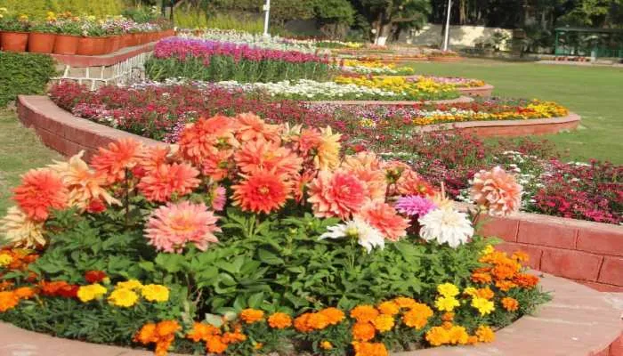 राजभवन में लगी पुष्प प्रदर्शनी का लोगों ने उठाया आनंद, बच्चों ने ली सेल्फी